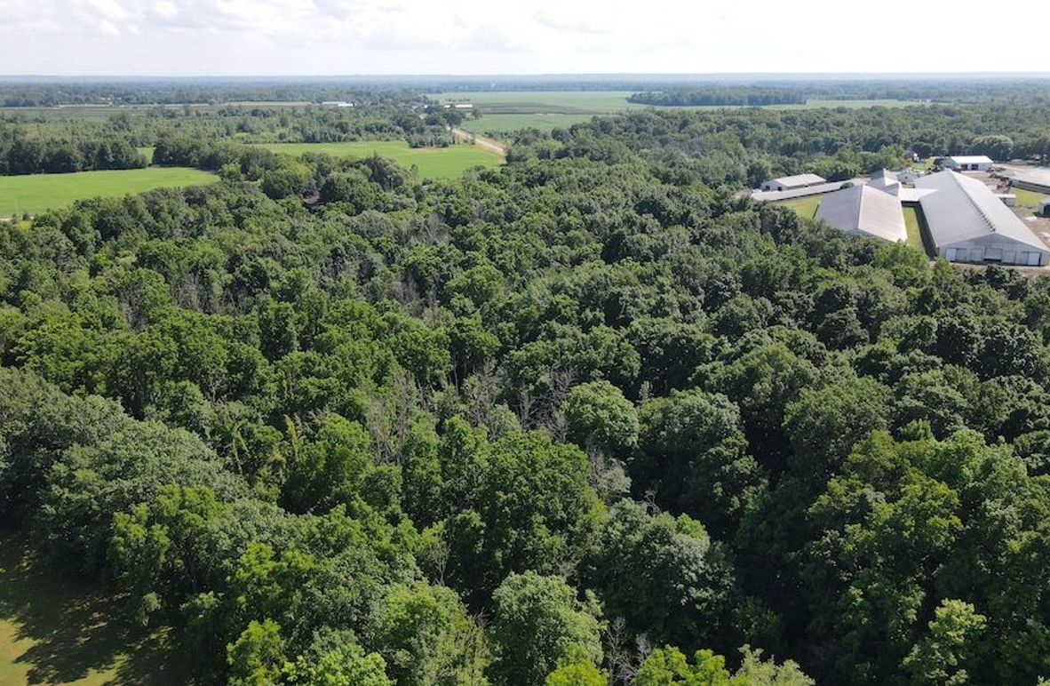 3 dji_fly_20250713_160142_85_1752437004265_photo