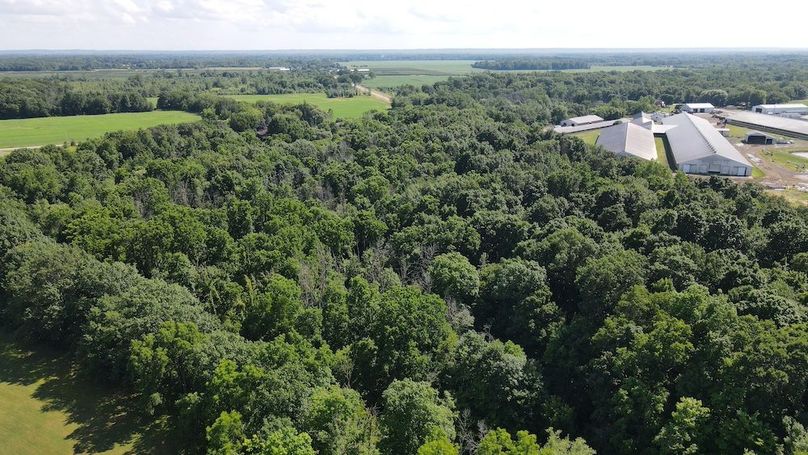 3 dji_fly_20250713_160142_85_1752437004265_photo