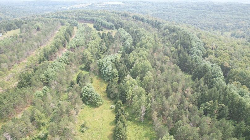 dji_fly_20250804_150556_467_1754355852567_photo