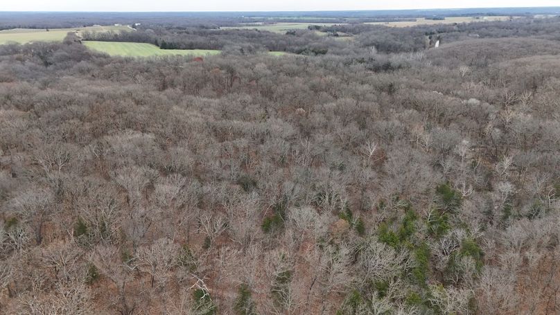 Copy of DJI_20251129134105_0034_D