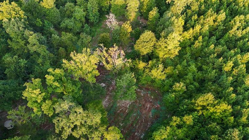 Ashley Co-40-Givens-41