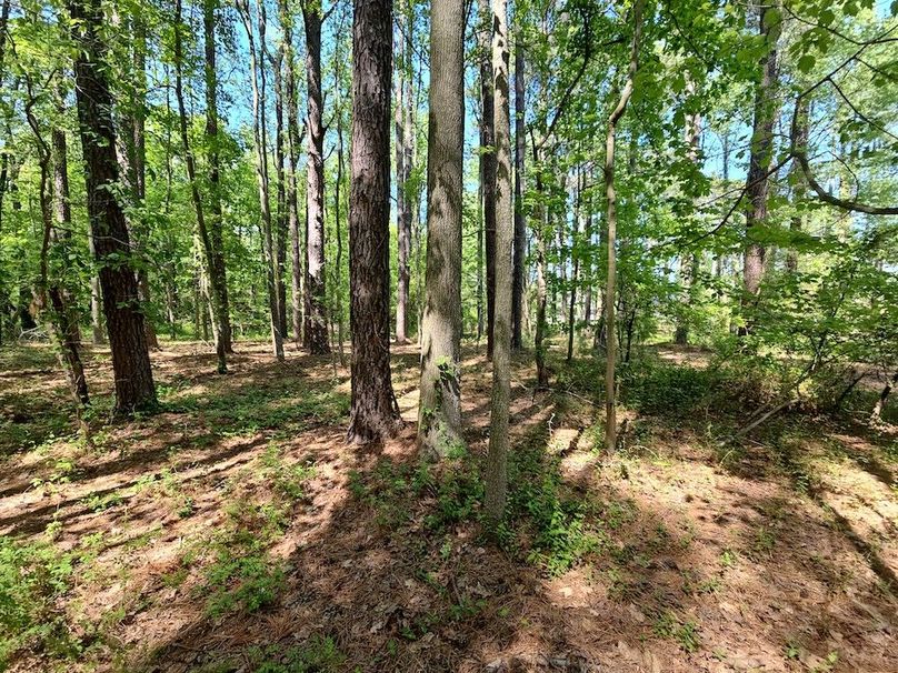 2.72ac_St Marys Rd_QAnnes_15