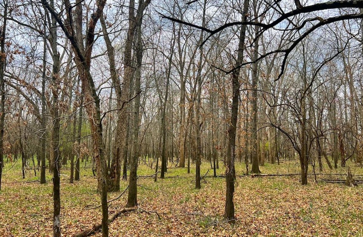 1c