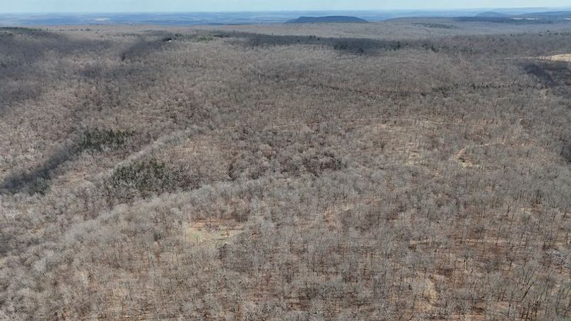 stone8020260307_0052