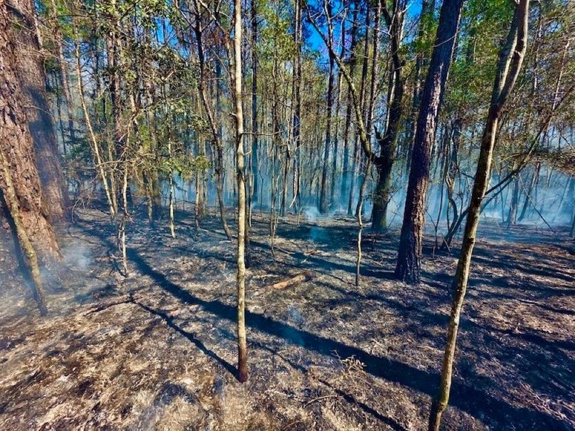 F588EAFA-AC22-4713-977B-C538F543B6F2_1_105_c-2