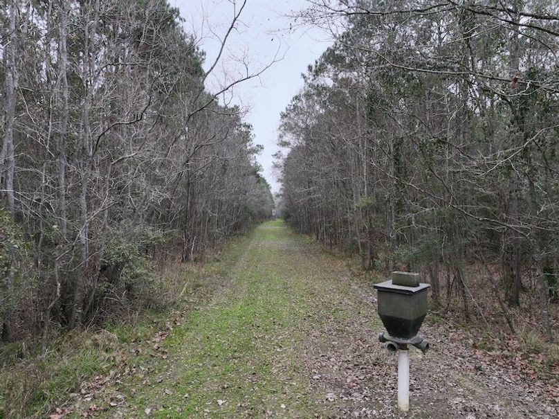 dji_fly_20260123_112914_0917_1769444786273_photo