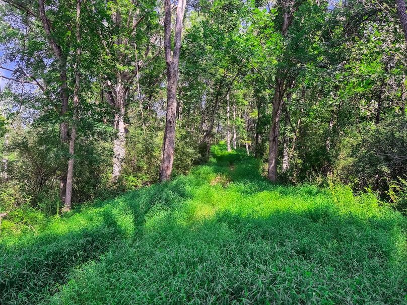 Lewis, WV 105 AC Miller-71