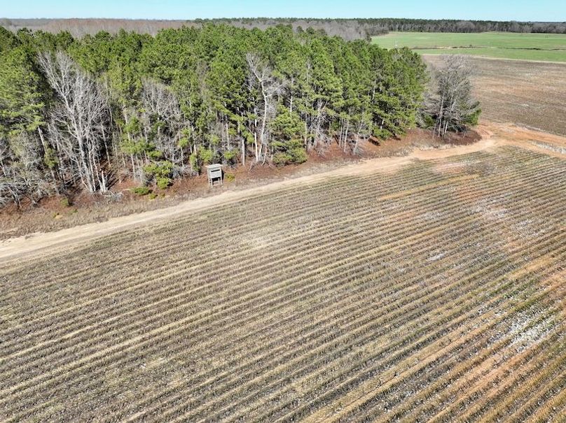 dji_fly_20260115_143930_127_1768507063492_photo