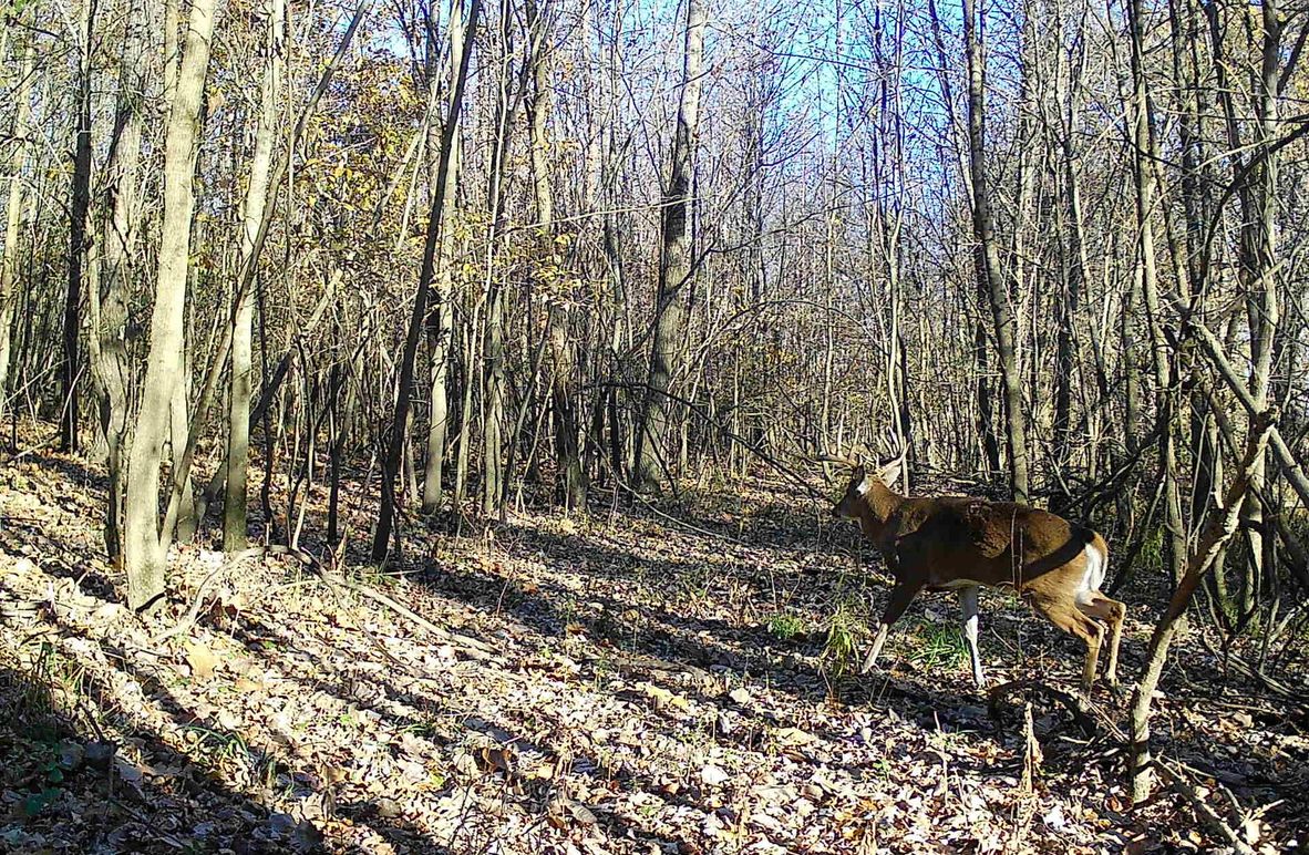 2 - 2026-01-02T122428.931