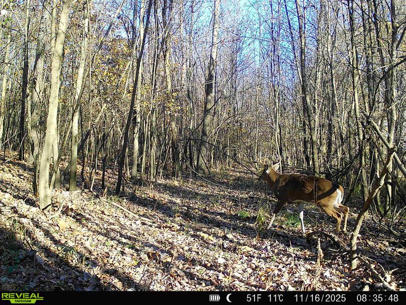 2 - 2026-01-02T122428.931