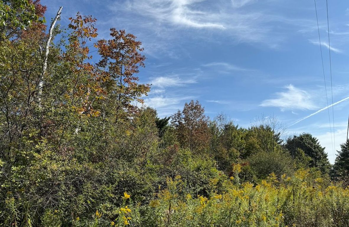 Chemung_20.82_Meyers Photo 3