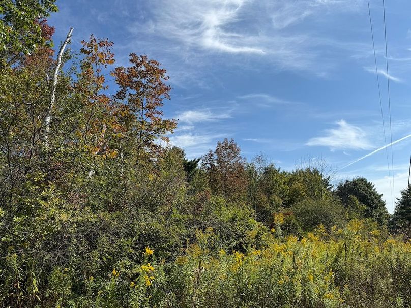 Chemung_20.82_Meyers Photo 3