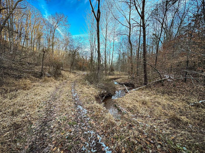 Jackson, WV 118.94 AC Shafer-099