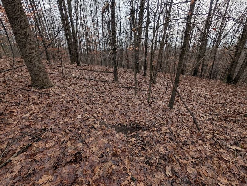 PXL_20260107_180529352