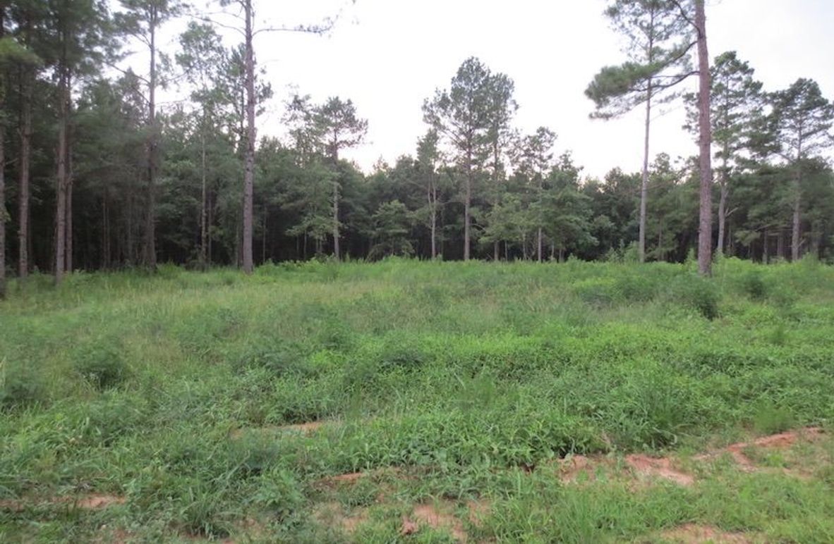 7DDB256A-7D62-4177-A363-C7DBC3B1EF4B_1_105_c