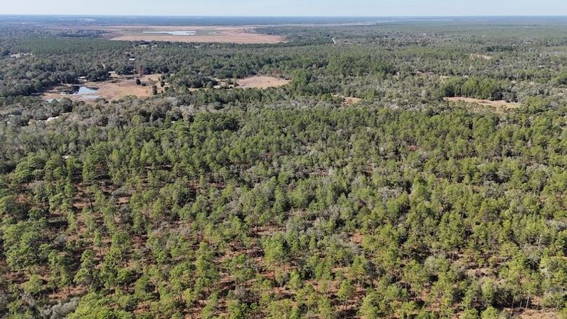 dji_fly_20251204_132730_0027_1764872861926_photo