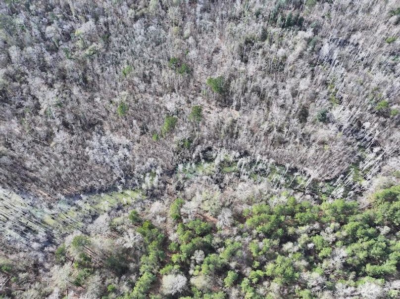 dji_fly_20260112_123658_0819_1768323788805_photo