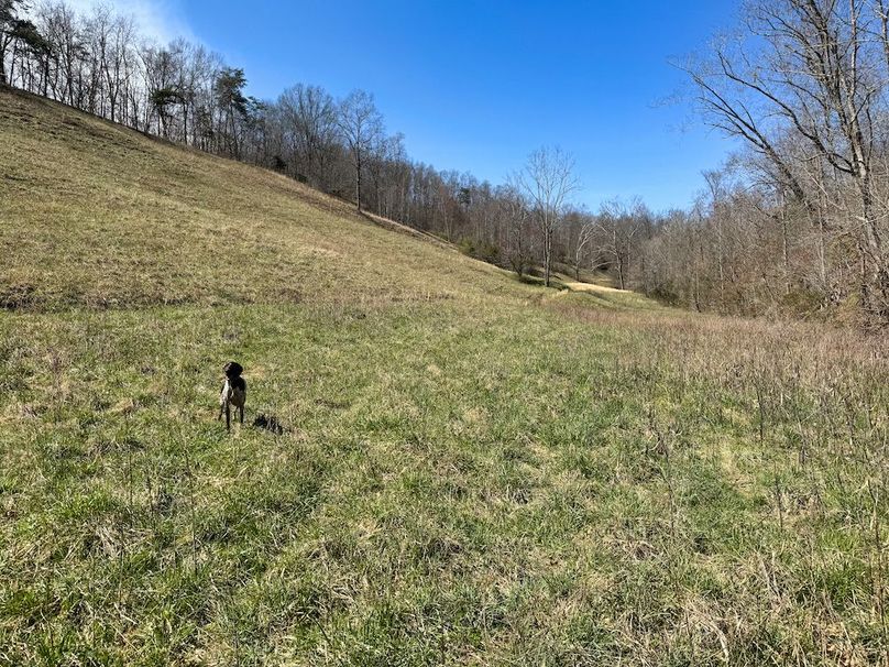 037 beautiful fields throughout