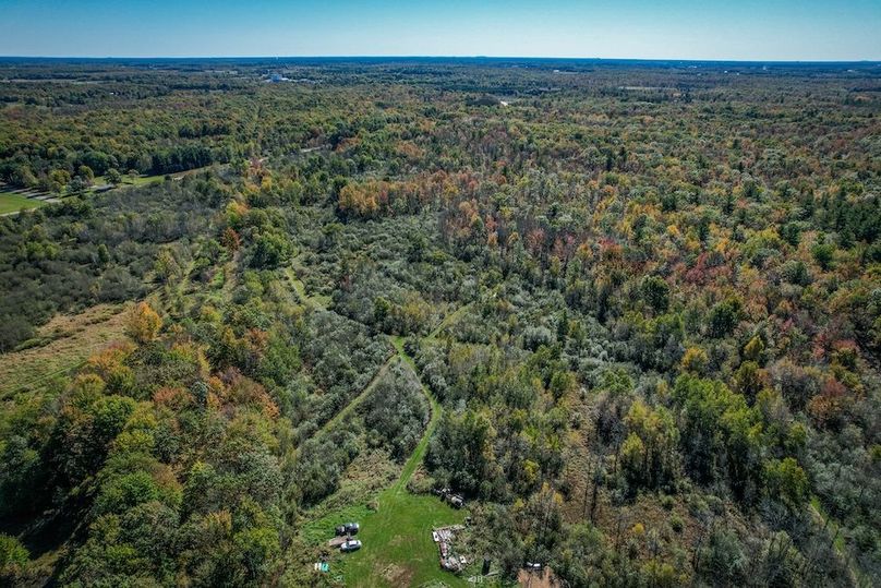 Wood 41.451, Collins -35