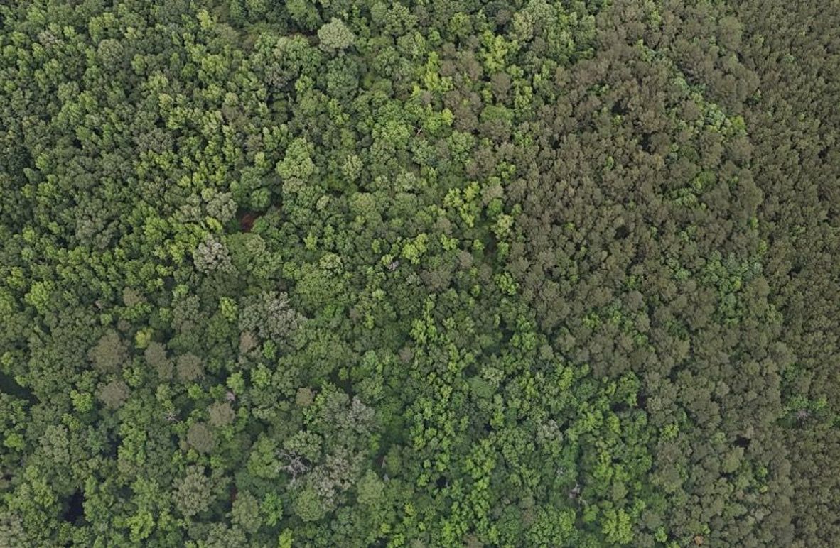 DJI_20260528015236_0018_D