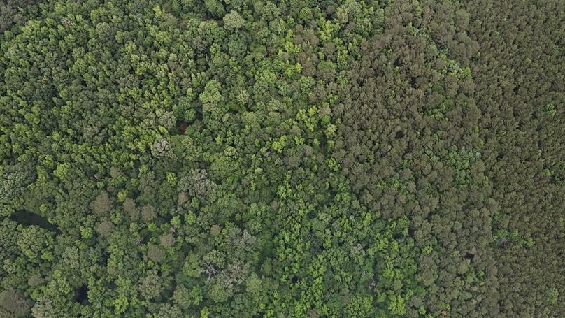 DJI_20260528015236_0018_D