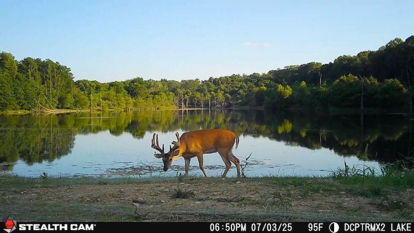 2025070318500101001429