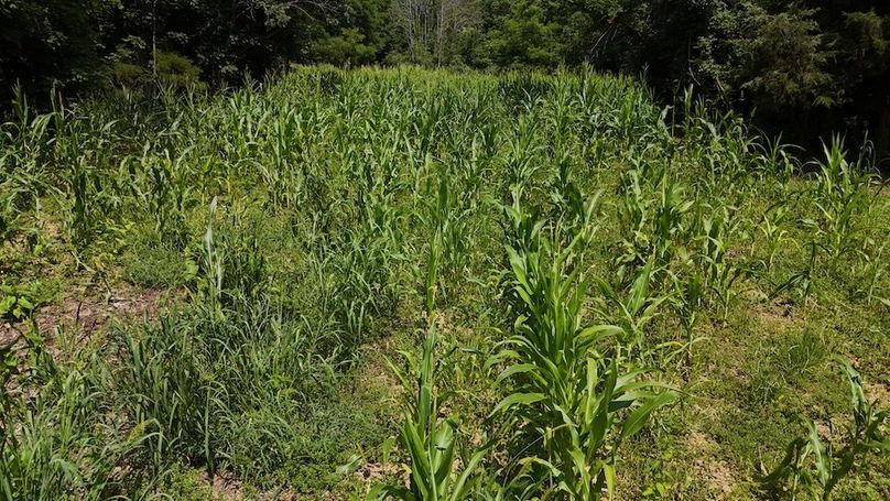 DJI_20250713152622_0572_D