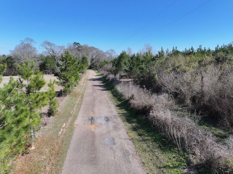 dji_fly_20260302_131800_0357_1772559694952_photo