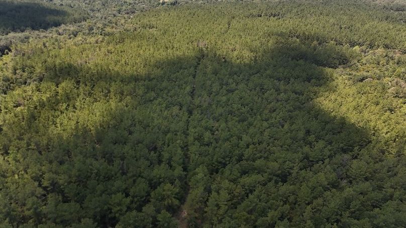 DJI_20240812130306_0007_D