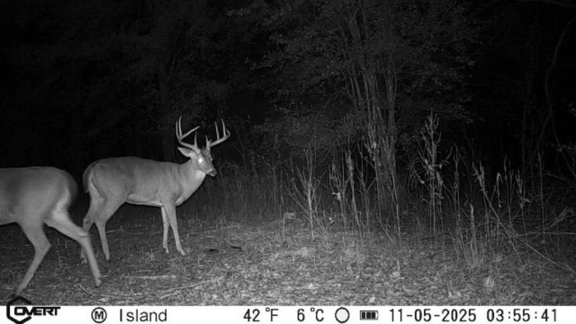 11_05_2025_03_55_41_3239106230