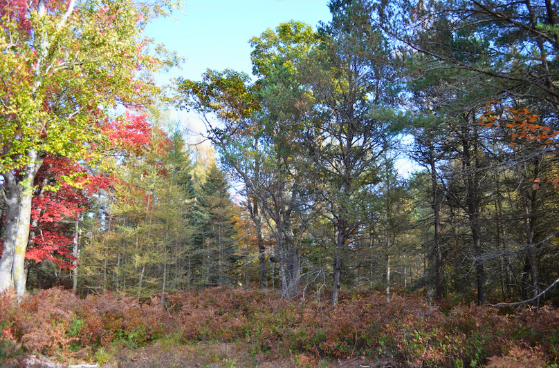 Screenshot 2025-11-14 at 11.25.29 AM