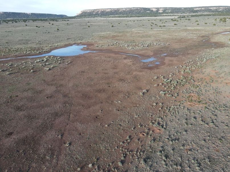 dji_fly_20240504_073004_312_1714829420039_photo