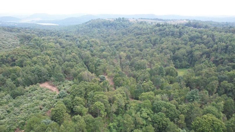 dji_fly_20250806_140626_573_1754530406616_photo