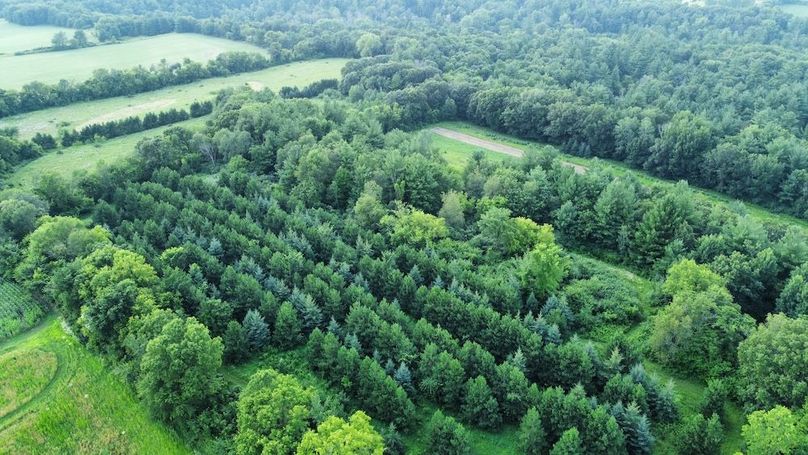 dji_fly_20240715_181850_675_1721085538591_photo_optimized