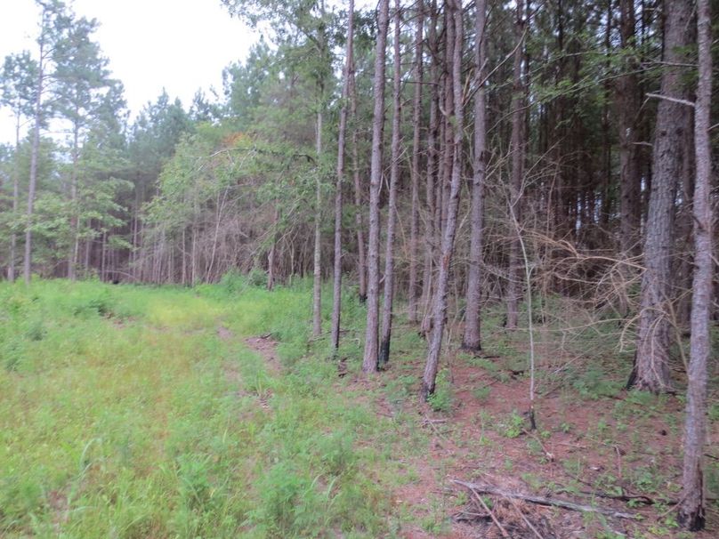 FA3E4EED-769D-4208-B549-75A854ED263C_1_105_c