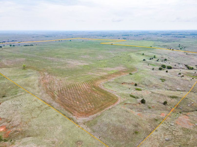 Comanche480_003 copy