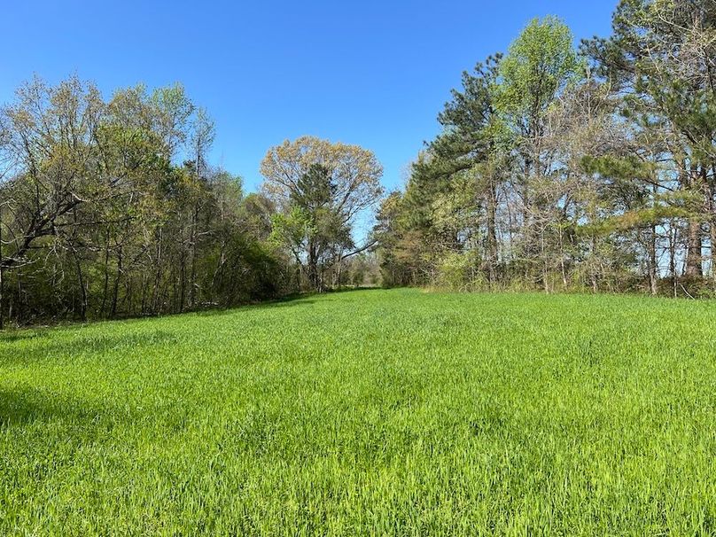 Food Plot
