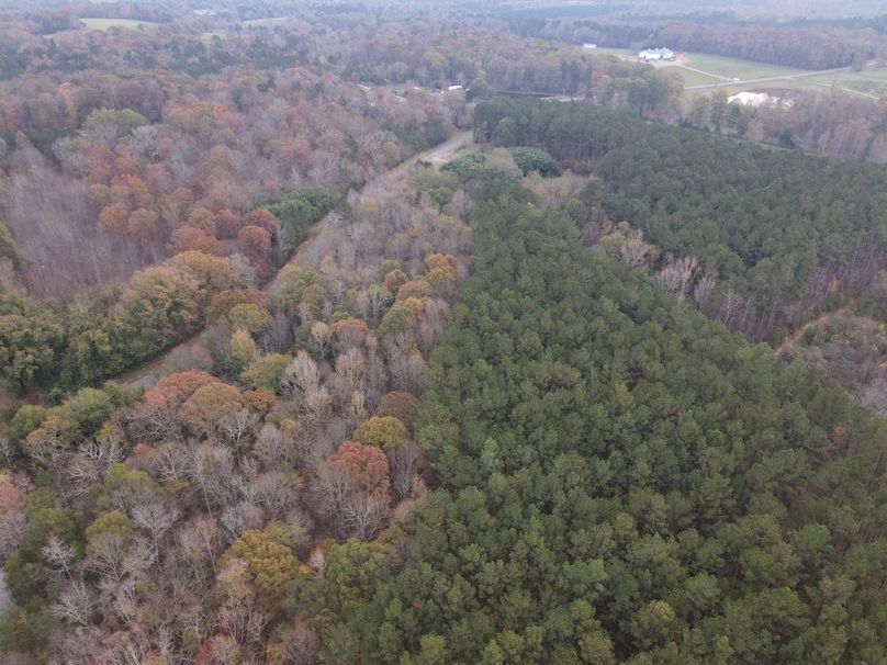 DJI_0323