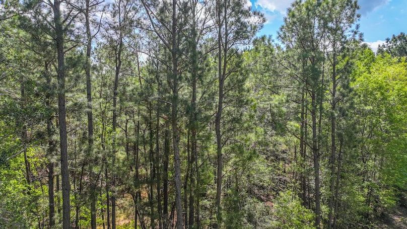 DJI_20260327114459_0001_D