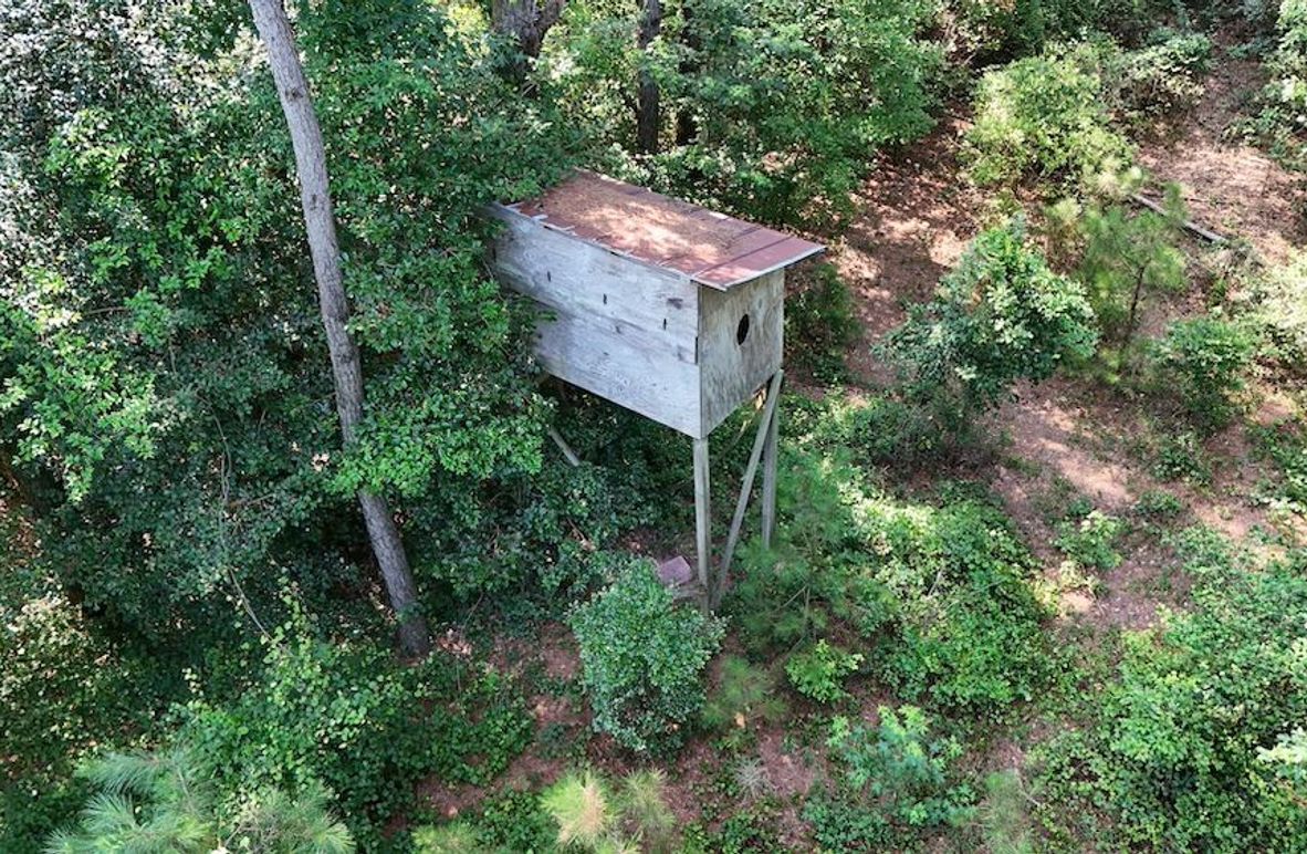 DJI_20250627094206_0084_D