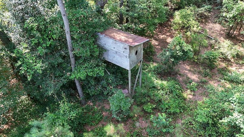 DJI_20250627094206_0084_D