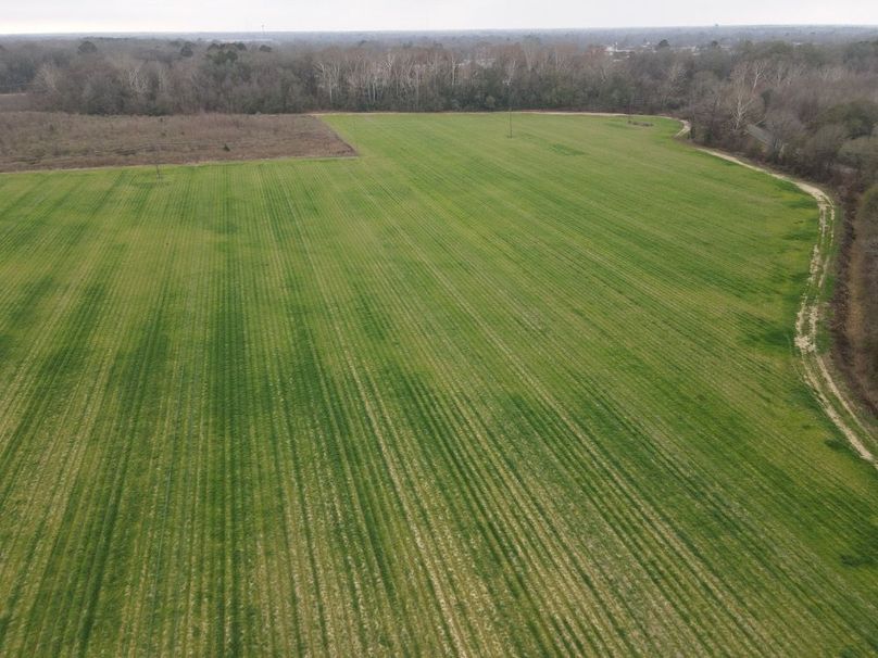 dji_fly_20260106_103812_781_1767987400026_photo