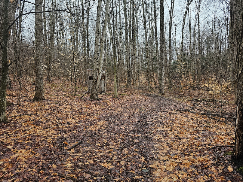 photo_f057333c-3389-4fb1-8366-509d17c3a74c