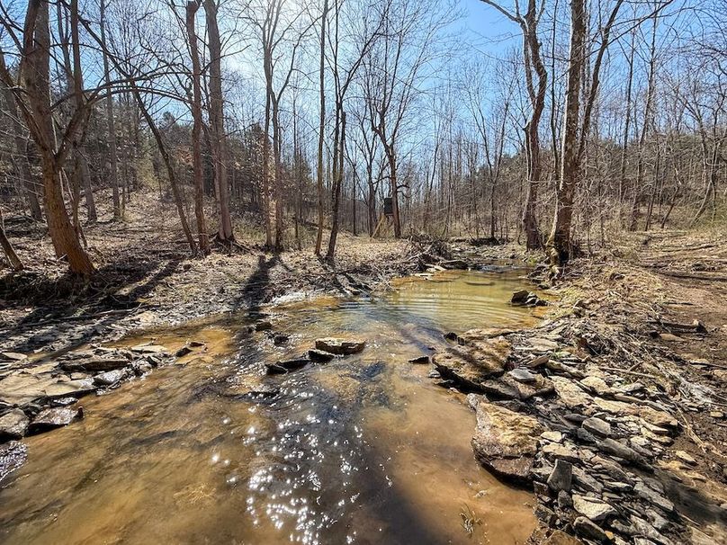 Fleming Petry 115-55