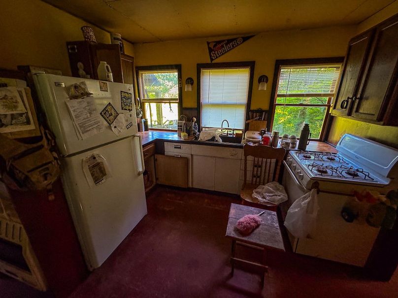 Wirt, WV 145.69 AC 273 Wildflower-63