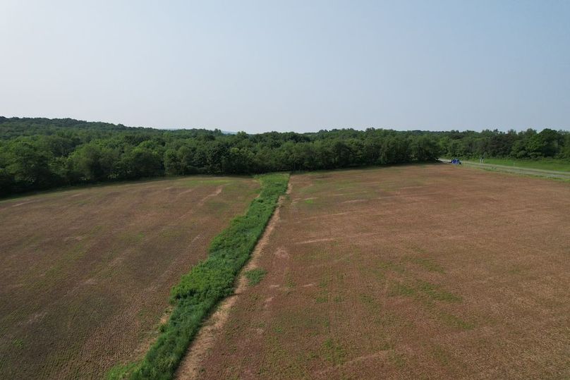 dji_fly_20250611_091316_995_1749647919814_photo