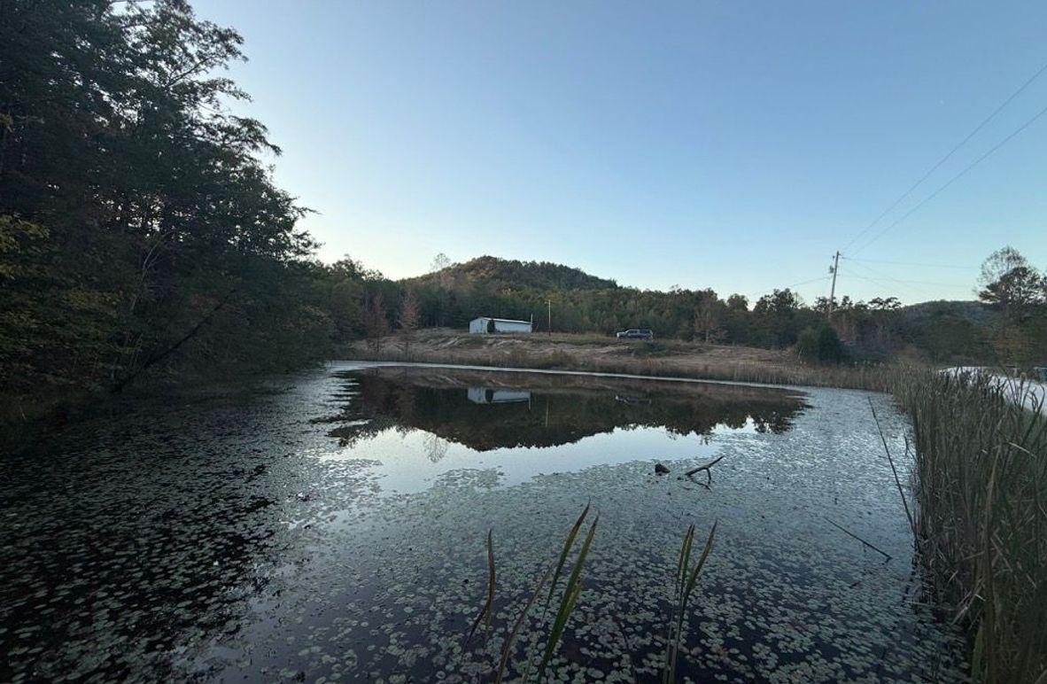003 beautiful view of the south pond from the road