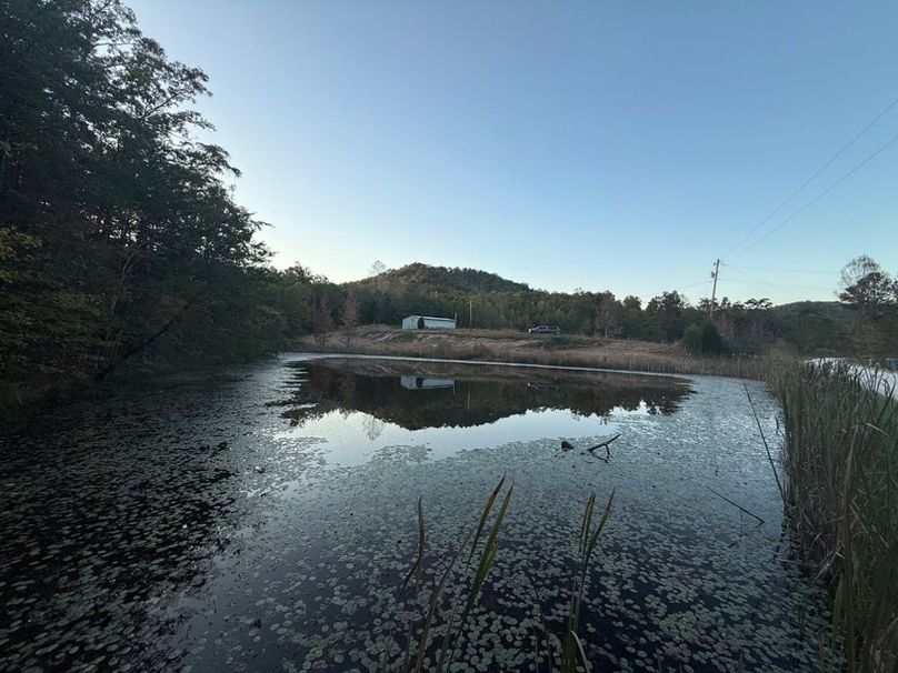 003 beautiful view of the south pond from the road