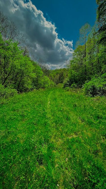 Doddridge, WV 64.69 AC Davis-02