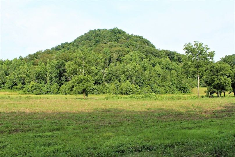 031 open bottom land, most recently cropped in soybeans
